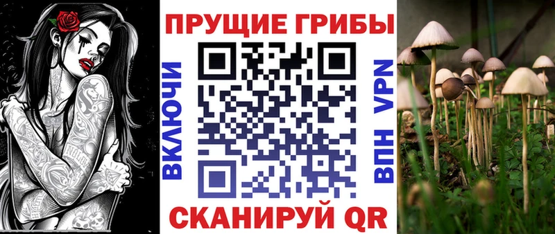 Псилоцибиновые грибы GOLDEN TEACHER  Купить где  Покровск 